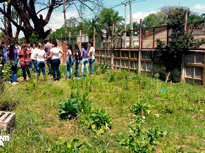 La huerta como espacio de aprendizaje