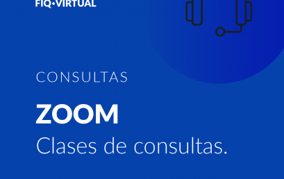 ZOOM | Consultas