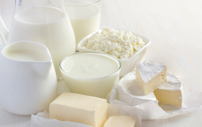 Área Leche y Productos Lácteos