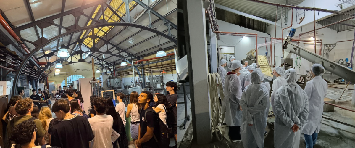 Asesoramiento y capacitaciones 2