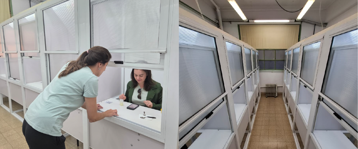 Asesoramiento y capacitaciones 2 copia 2