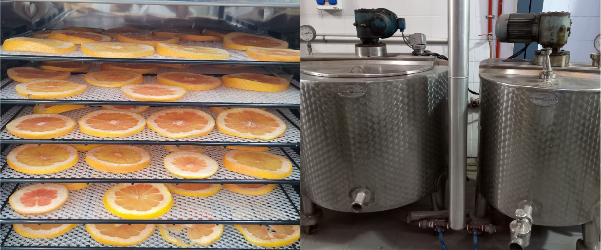 Desarrollo de Productos y Procesos escala laboratorio y piloto 2