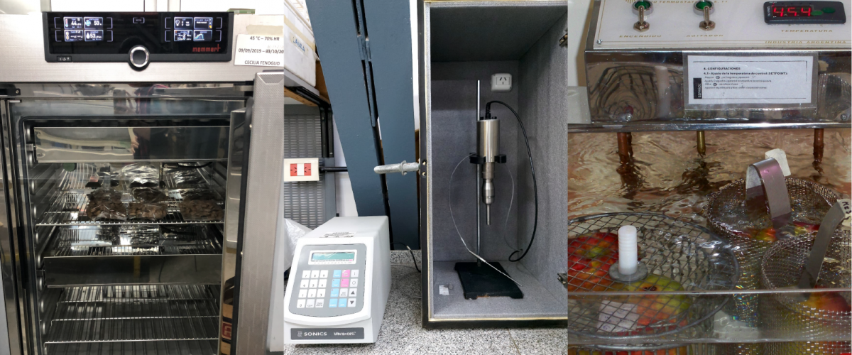 Desarrollo de Productos y Procesos escala laboratorio y piloto 2 copia 12