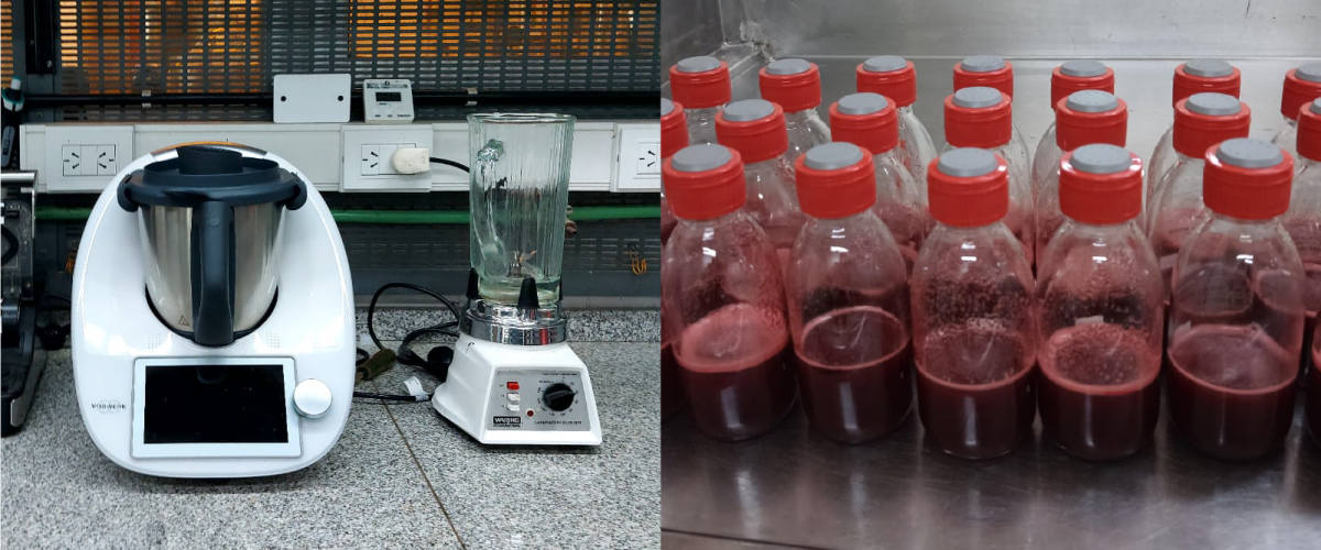 Desarrollo de Productos y Procesos escala laboratorio y piloto 2 copia