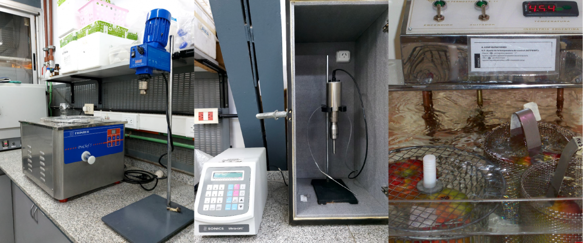 Desarrollo de Productos y Procesos escala laboratorio y piloto 2 copia 2