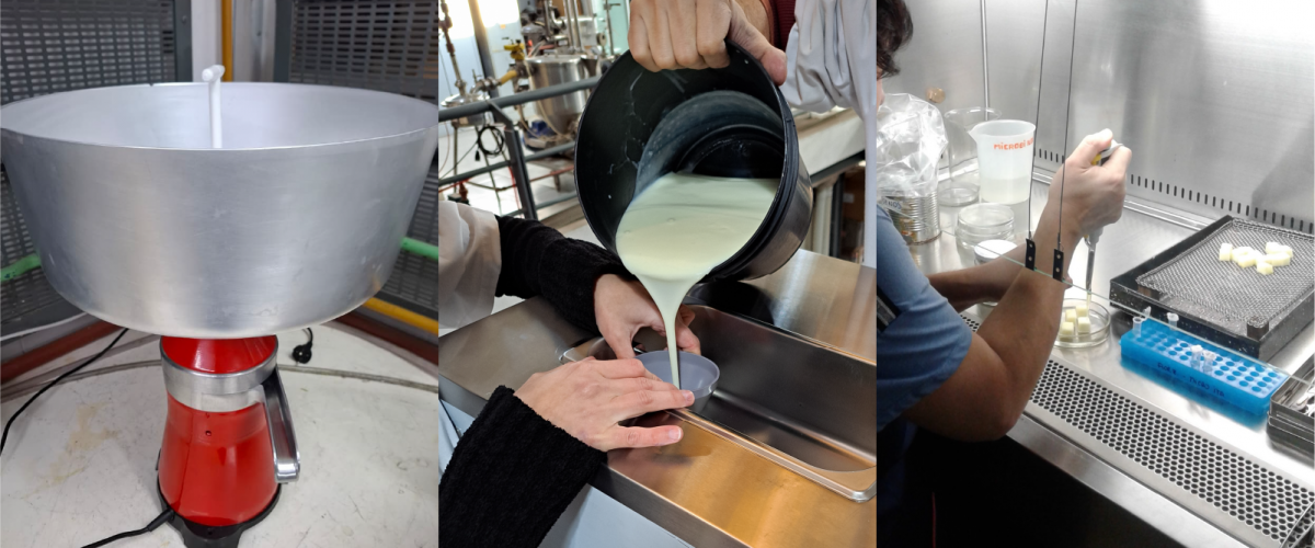 Desarrollo de Productos y Procesos escala laboratorio y piloto 2 copia 3