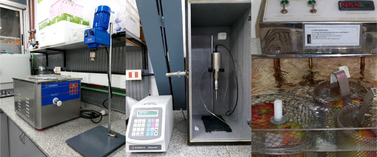 Desarrollo de Productos y Procesos escala laboratorio y piloto 2 copia 4