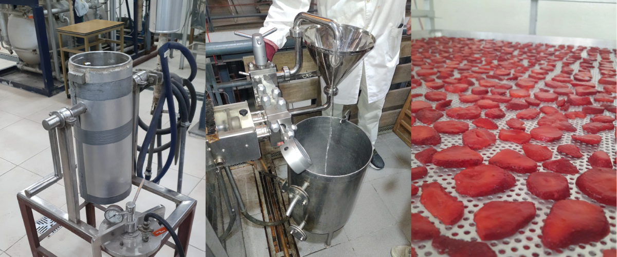 Desarrollo de Productos y Procesos escala laboratorio y piloto 2 copia 7