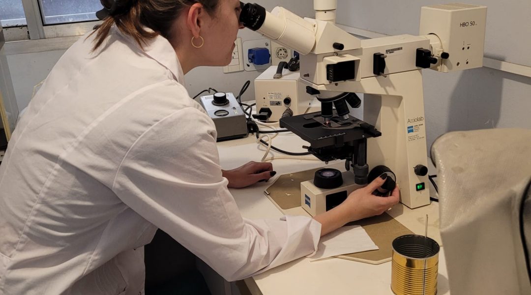 WhatsApp Image 2025-11-27 at 13.08.24