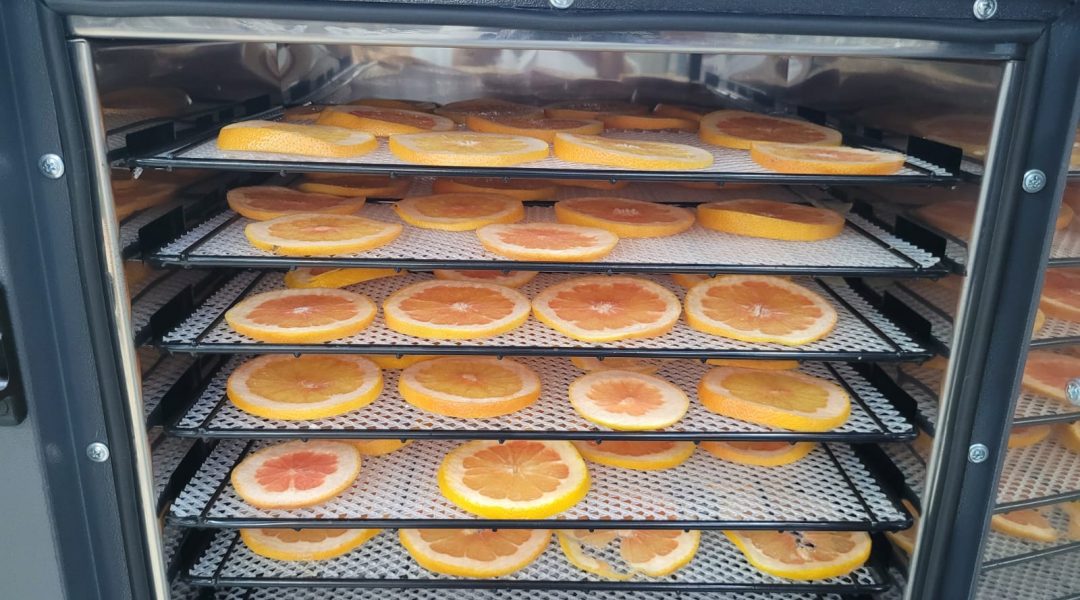 WhatsApp Image 2025-12-10 at 16.20.37