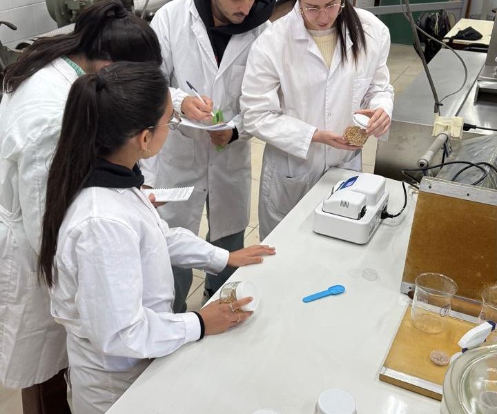 WhatsApp Image 2025-12-10 at 16.27.45