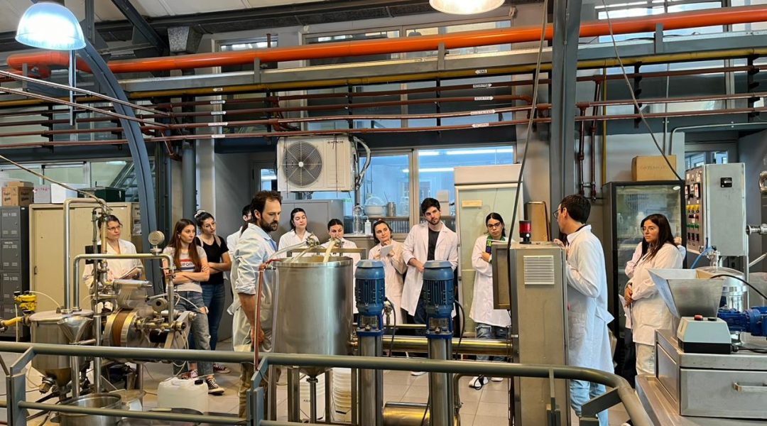 WhatsApp Image 2025-12-10 at 16.30.03