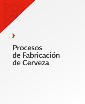 Procesos de Fabricación de Cerveza