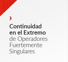 Continuidad en el Extremo de Operadores Fuertemente Singulares