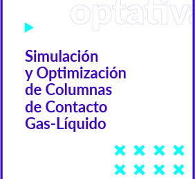 Simulación y Optimización de Columnas de Contacto Gas-Líquido.
