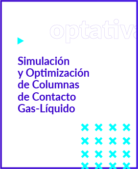 Simulación y Optimización de Columnas de Contacto Gas-Líquido.