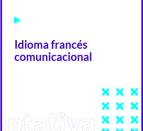 Idioma Francés comunicacional