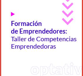 Formación de Emprendedores: Taller de Competencias Emprendedoras