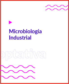 Microbiología Industrial