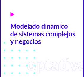 Modelado dinámico de sistemas complejos y negocios (Internacional)
