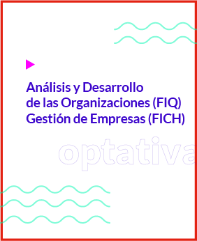 Análisis y Desarrollo de las Organizaciones (FIQ) – Gestión de Empresas (FICH)