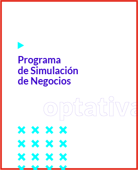 Programa de Simulación de Negocios: Estrategias de Negocios Internacionales
