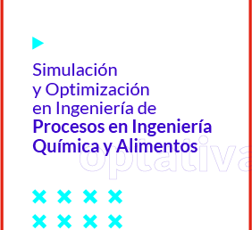 Simulación y Optimización en Ingeniería de Procesos en Ingeniería Química y Alimentos